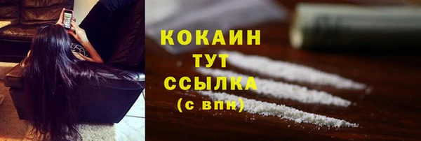 стаф Балахна
