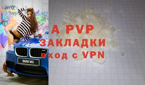 стаф Балахна